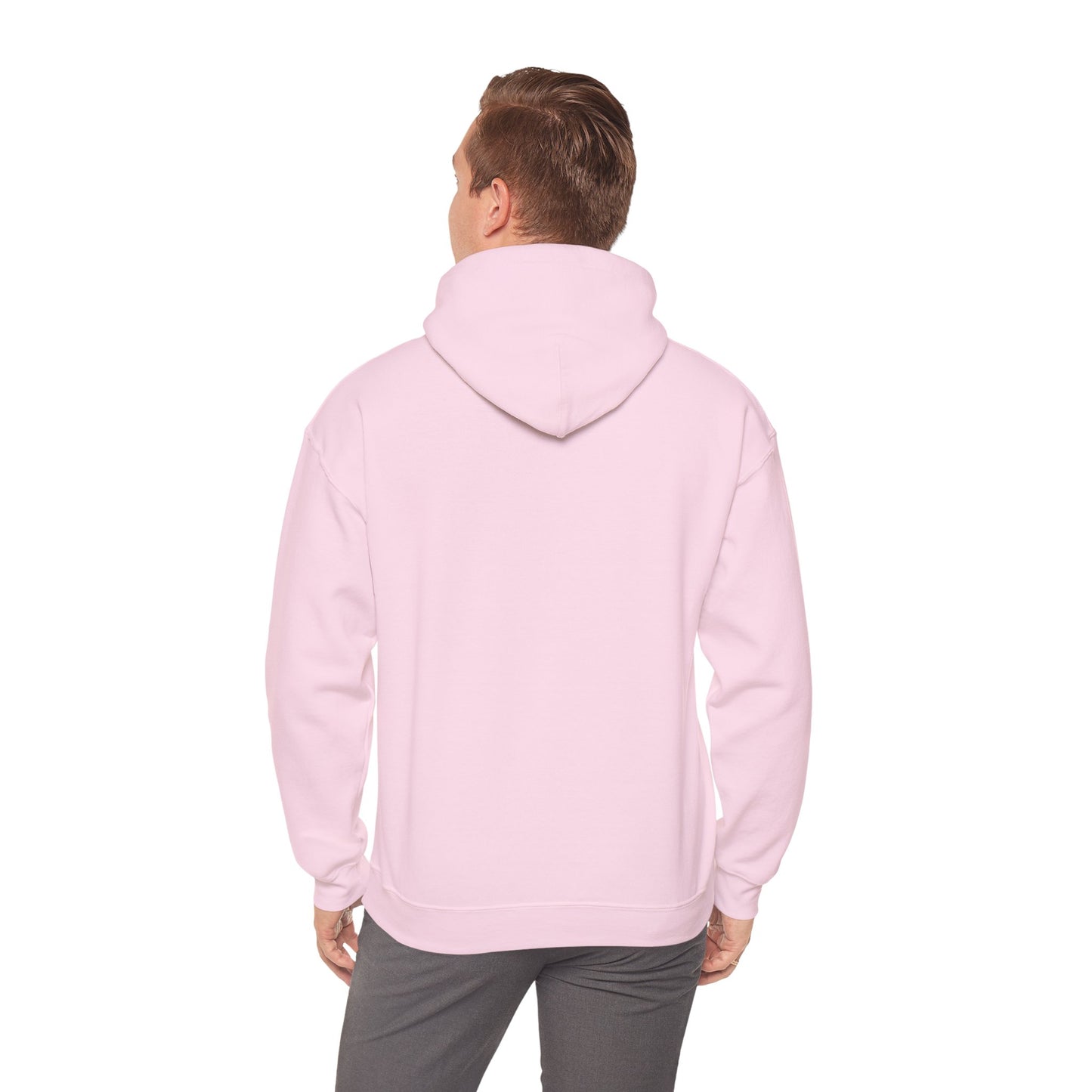 Shikataro's gaming unisex hoodie (US market)