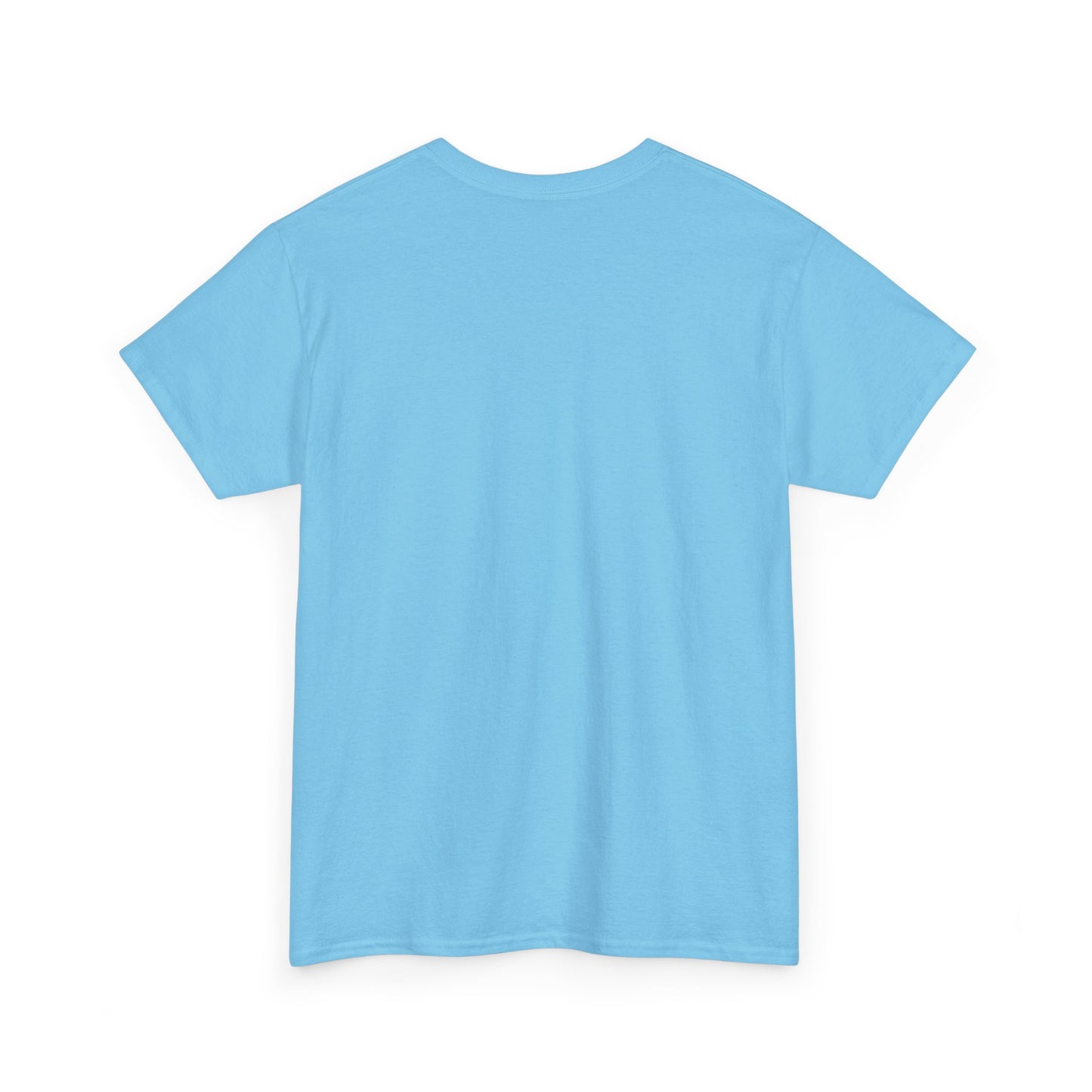 Rainbow surfer unisex shirt from organic cotton (US market)