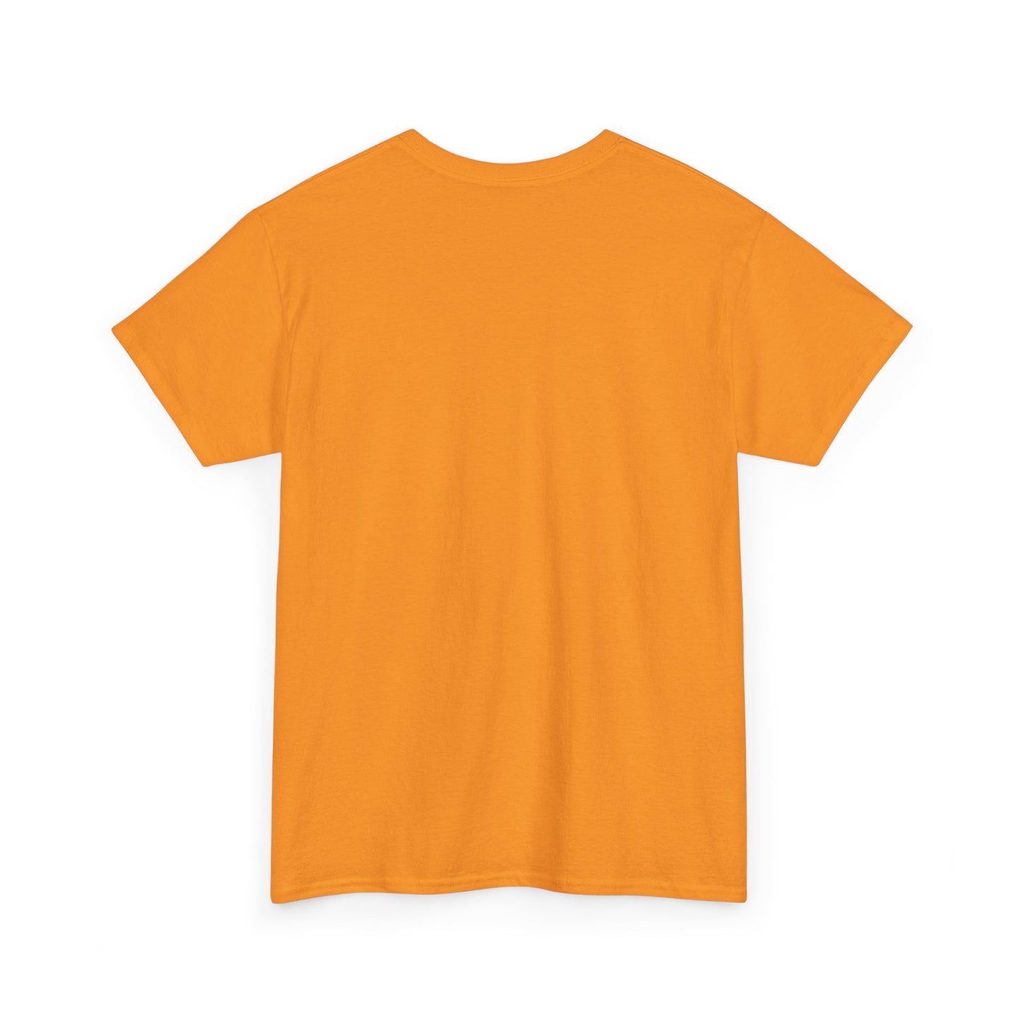 Rainbow surfer unisex shirt from organic cotton (US market)