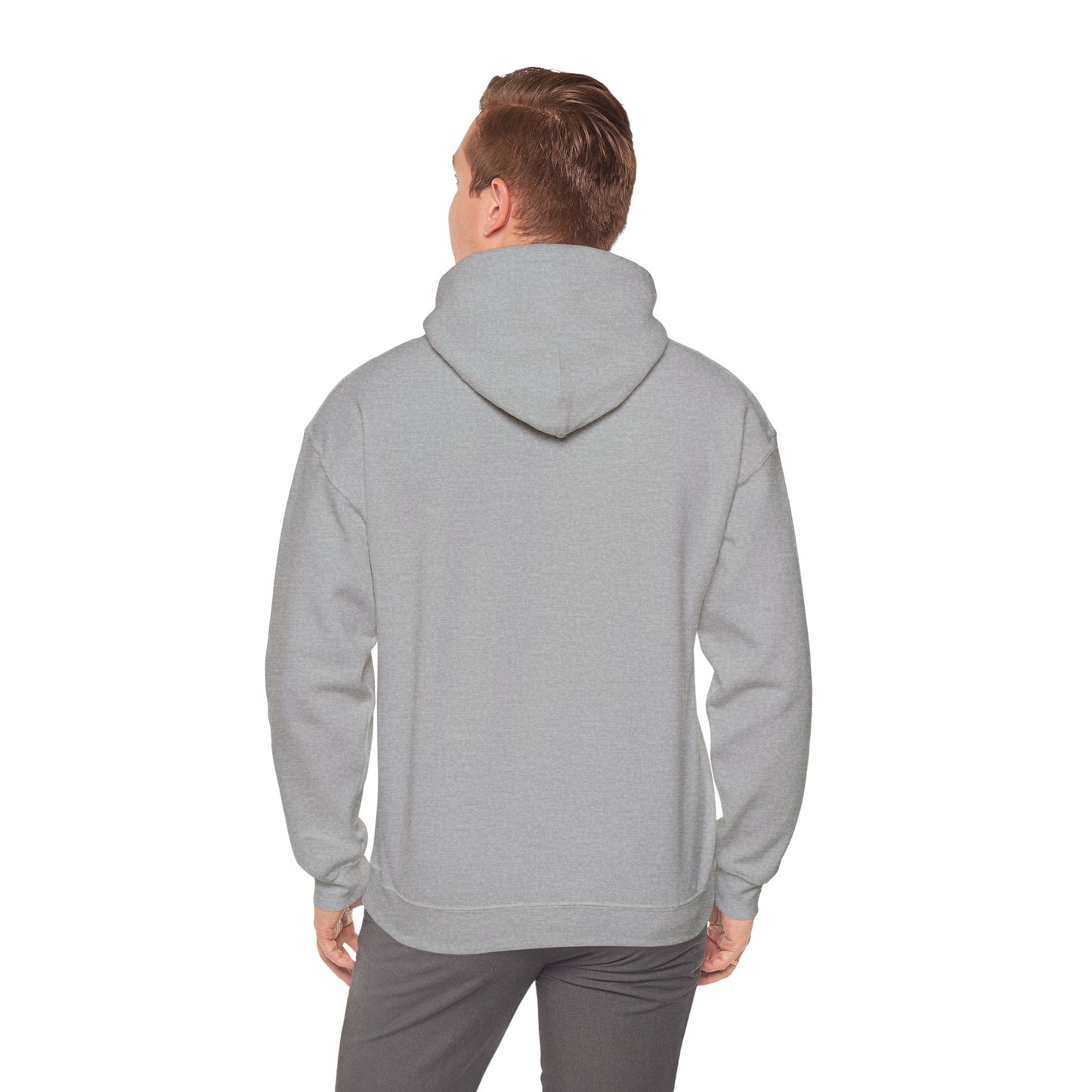 Shikataro's gaming unisex hoodie (US market)