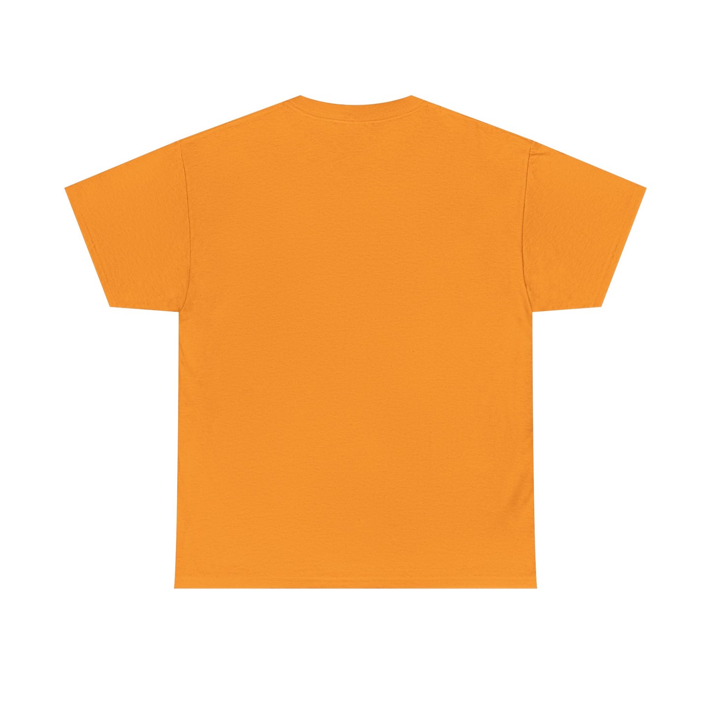 Rainbow surfer unisex shirt from organic cotton (US market)